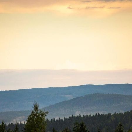 Langroesta; Ruime Blokhut Grenzend Aan Bos Villa Hagfors Exterior photo