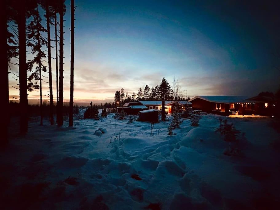 Langroesta; Ruime Blokhut Grenzend Aan Bos Villa Hagfors Exterior photo